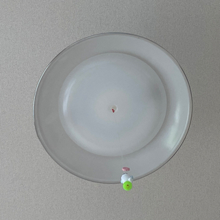 電気 いる方いませんか？