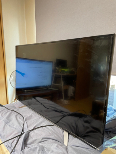 【ジャンク】REGZA 50HL210X ブラックアウト