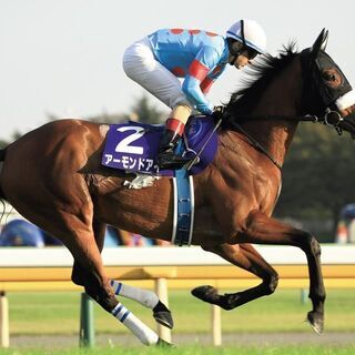 23～35代限定　ゆるゆる競馬仲間サークル募集　残り5名