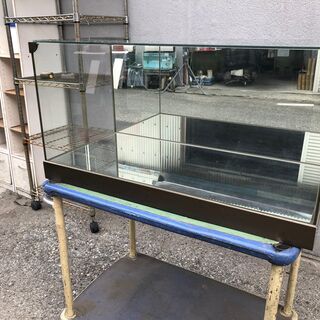 ★ 状態〇 ★ ガラスケース 40x80x38cm 壁床鏡張り ...