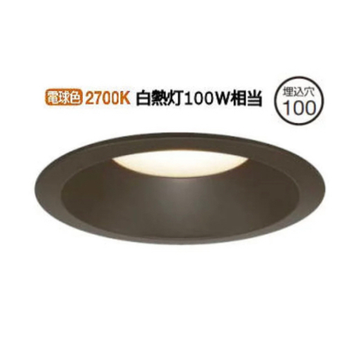 大光電機LEDダウンライト電球色2つ(新品)