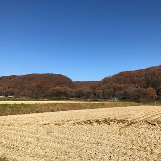 【フリーレント3ヶ月】約7000坪の土地付き温泉施設です（売買も...