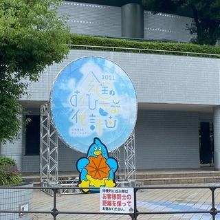 日向坂46応援したいミドルおひさま - チャット