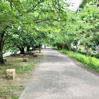 仕事選びの相談に乗ってくれる人を募集しています。