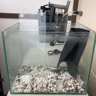 GEX30センチ水槽ほか