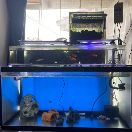 90規格アクリル上部ろ過フルセット@生体込み