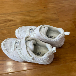 19cm 瞬足レモンパイ
