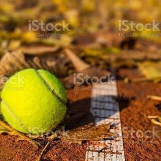 🍁10/9🍁【社会人限定❗】テニス会イベント開催のお知らせ🎾