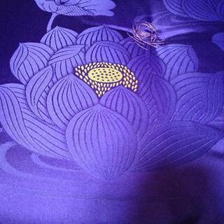 座布団　募集中の画像