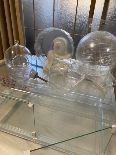 グラスハーモニー600 飼育用品全て揃っています