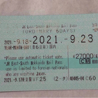 新幹線free pass(大人二人分)