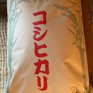 コシヒカリ　令和5年　新米の画像