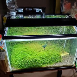 水槽 幅45cm 一式と中身