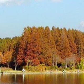 一緒に水元公園ウオーキングしませんか