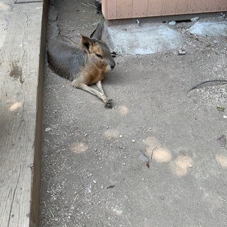 さびお、ドラム教室。