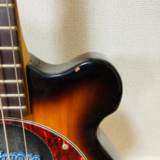 pignose ベース　アンプ内蔵　ソフトケース付きの画像