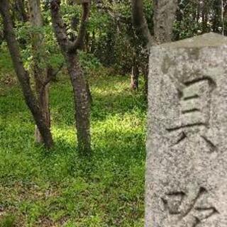 軽〜い山歩きどうですか - 御所市