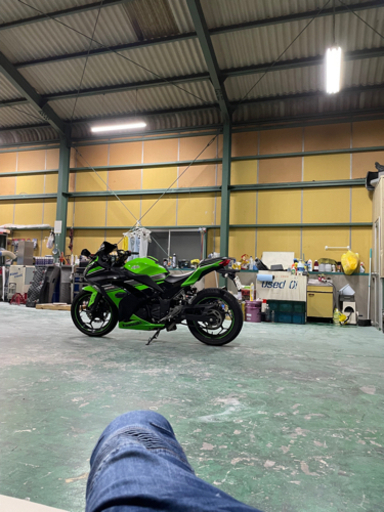 ninja250 2013スペシャルエディション