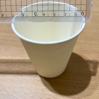 純正種・短毛丸(たんげまる) エキノプシス属エイリエシィ 多肉植物 １株の画像