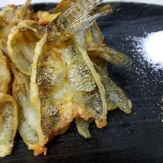 江戸前美味魚の釣り体験♪　未初級者大募集♪　9月24日開催！
