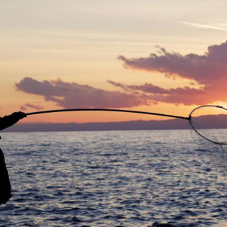 釣り友達募集🎣