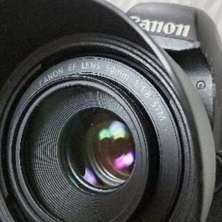 写真の撮り方教えます（一眼レフ）