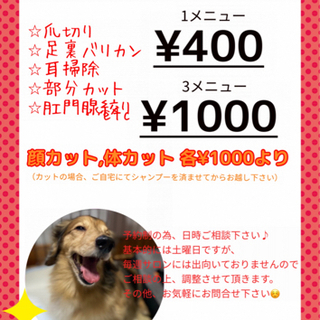 【400円〜】犬のトリミング、爪切り、部分カットなど♫