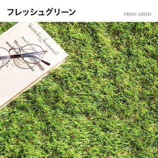 【新品】 リアル 人工芝 モダンデコ 高密度 静電気抑制タイプ 2m×10m 芝丈20mm U字ピン46本付の画像