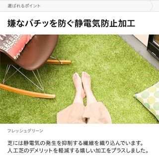 【新品】 リアル 人工芝 モダンデコ 高密度 静電気抑制タイプ 2m×10m 芝丈20mm U字ピン46本付の画像