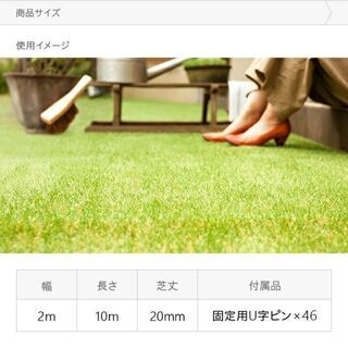 【新品】 リアル 人工芝 モダンデコ 高密度 静電気抑制タイプ 2m×10m 芝丈20mm U字ピン46本付の画像