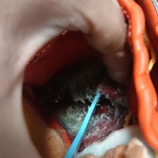 久保田スラッガー軟式グラブKSN-25MS内野手用他サイトにて売却済みの画像