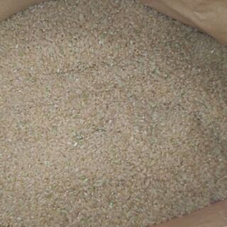 令和3年　新米コシヒカリ　玄米30kg