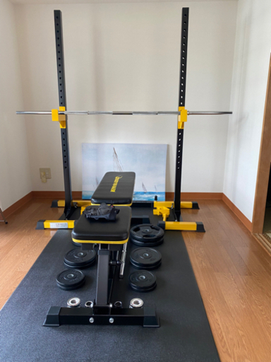 引っ越しするので譲ります。