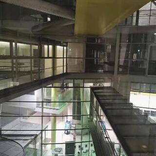 中国語サークル(白鳥会)の画像