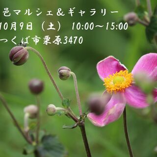 第32回 邑マルシェ＆ギャラリー開催のお知らせ