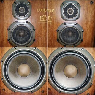 ご予約済】 DS-77Z