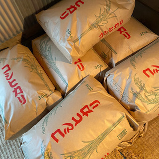 令和５年度産新米② の画像