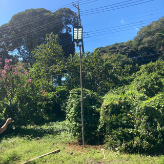 電気0円