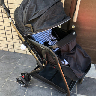 譲り先決定しました…無料です。