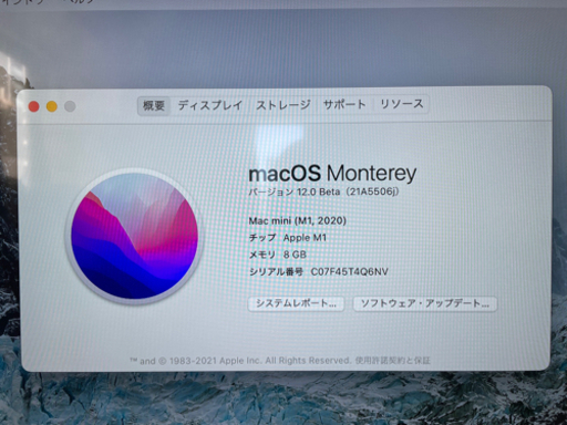mac mini m1