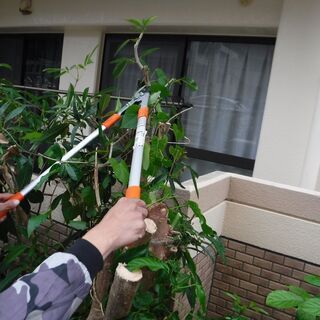 敷地清掃・長短期アルバイト  沖縄 求人　の画像