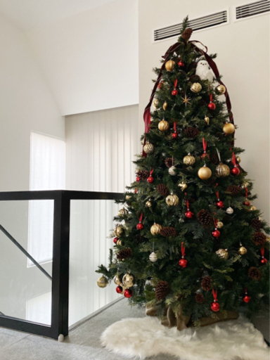 クリスマスツリー　225cm 1回のみ利用
