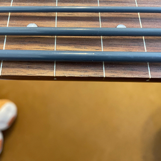 【ウクレレベース】KALA U-BASS RMBL-FL フレットレスの画像