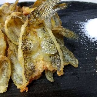 大人気！　美味ハゼの釣り体験♪　11/3祝日　未経験者、初心者歓迎！　 - 江東区