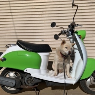 ビーノ　50 5AU 2サイクル　ライムカラー　実働　日立南太田ic