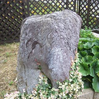 [引き取り限定]  庭   石 ・無料で差し上げます。
