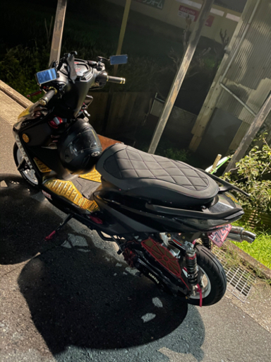 シグナスx 国内三型