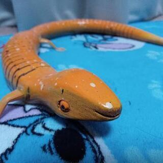 木製🦎くねくねトカゲのオモチャ🦎オレンジの画像