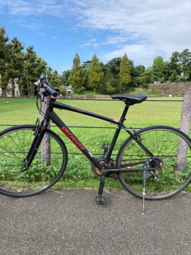 スペシャライズド　シラス