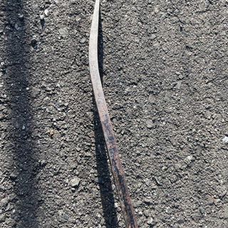 カジ寅の画像